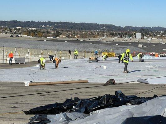 200,000 square feet of roofing for Americold Logistics in Watsonville. GAF 60 mil TPO rhino bond system.