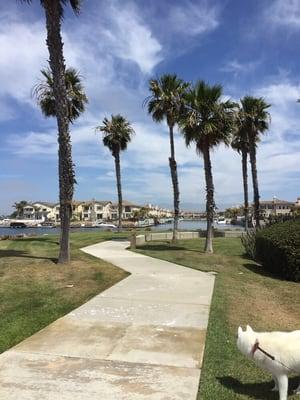 Walking on one of the many paths throughout Seabridge community. So calming and safe.