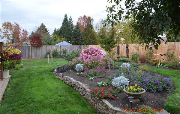 Beautiful back yard in North Albany