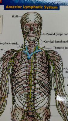 Yes, we do Manual Lymphatic work for post-surgical, injury recovery, and many other medical needs!