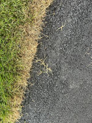 More grass coming through the asphalt