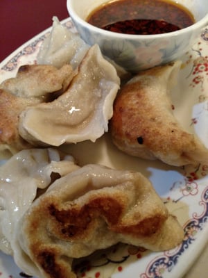 Fried Dumplings