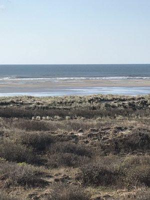 Oceanfront room view