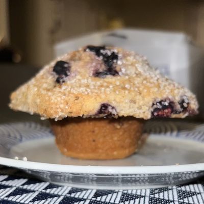 Jordan Marsh Blueberry Muffin