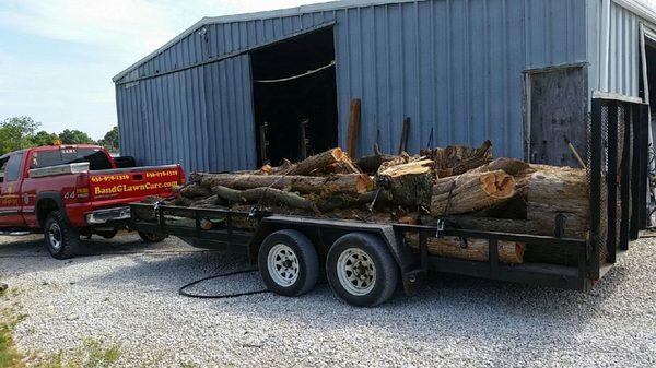 TREE HAUL OFF FROM STORM DAMAGE