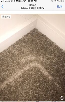 Mice dropping in upstairs closet