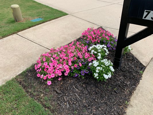 Lawn Care Services in North Augusta, SC