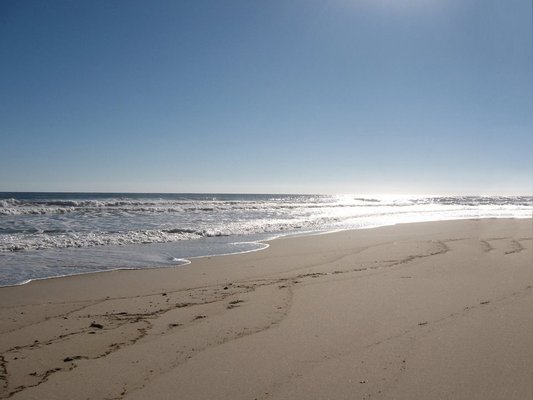 Coast Guard Beach North Truro