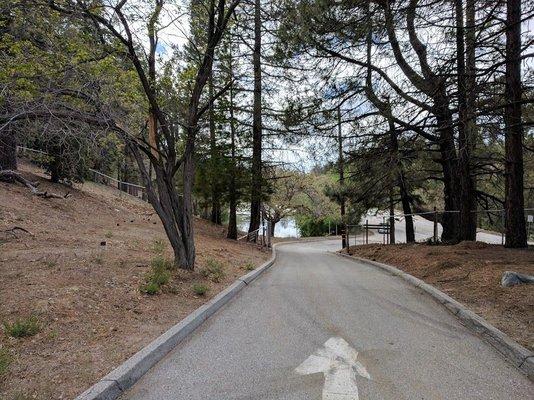 The campground is basically a one-way road with spurs on a hill. This is looking towards the exit