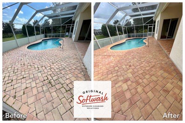 Pool Deck and Pool Cage Cleaning