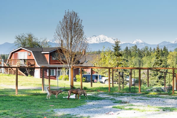 Play pasture with view of mountains