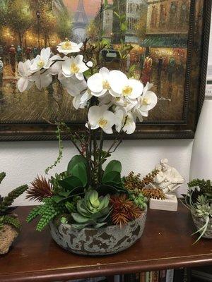 White orchids with succulents in a designer bowl