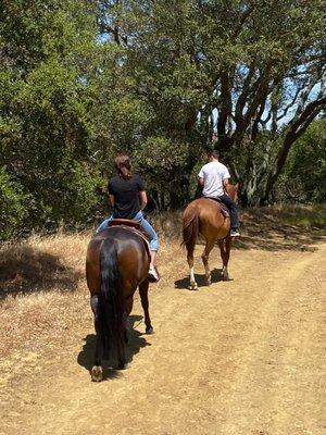 Franklin Canyon Stables