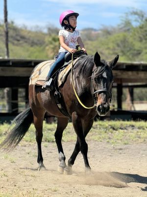 Aloha Riding Lessons