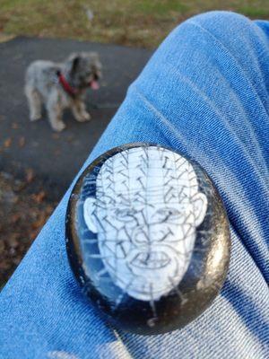 Found a few painted rocks laying about the park.