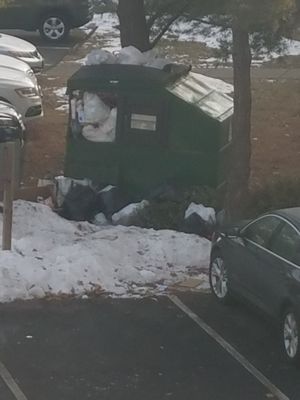 typical state of dumpsters