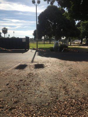 Christmas tree recycling at A Ave entrance