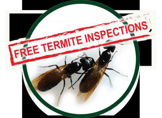 Call Today for a Free Termite Inspection