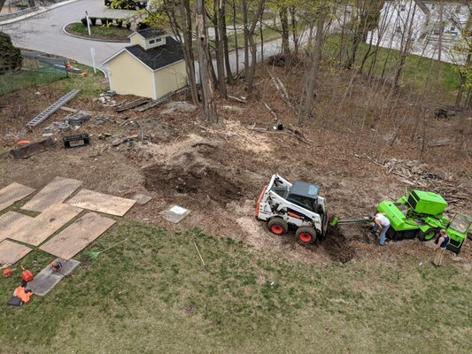 Cleared out entire side area. Grinding all the stumps deep.