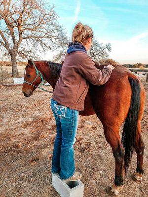 Chiropractic for horses!