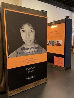 Alice Walker exhibit (partial view). This one was created at the Rose Library at Emory University, which holds her papers.