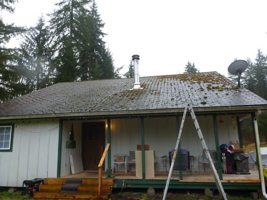 Moss Covered Roof