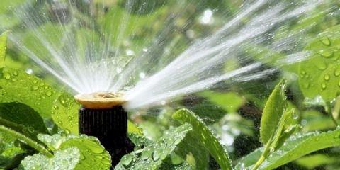 4 Ways Lawn & Landscaping Irrigation Benefits Busy Parents