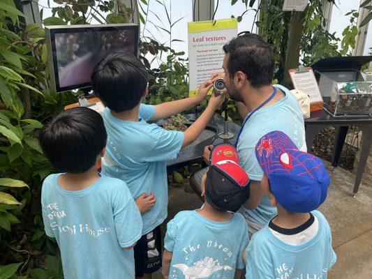 Huntington Library Field Trip - Summer Camp