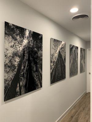 Cool metallic photos in the hallway