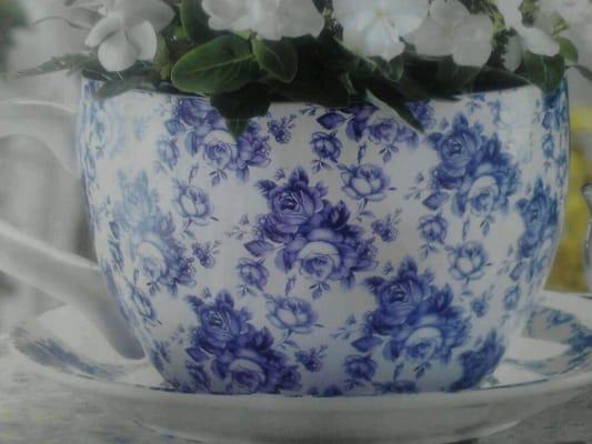 Tea cup planter