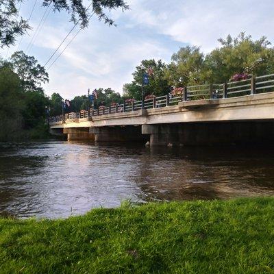 Bridge ober the park