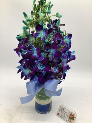 Blue Money Orchids order on our website https://www.everydayflowers.com