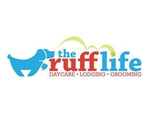 Dog Daycare, Overnight Lodging, and Grooming