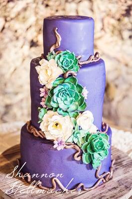 Wedding Cake by Susan Morgan of Elegant Cheesecakes.  Photo credit to Shannon Stellmacher Photography