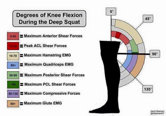 Understanding science to better train you.