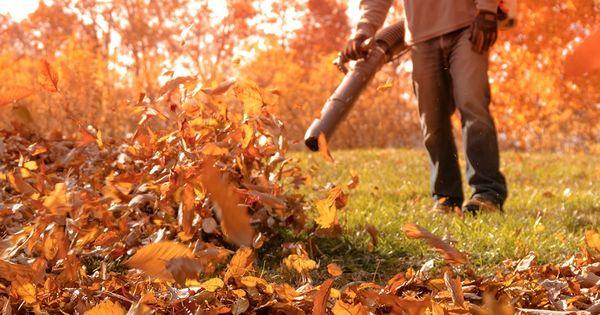 Leaf blowing