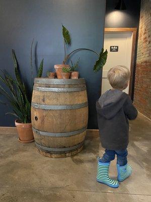 Plants and hip decor fills this family-friendly brewery!