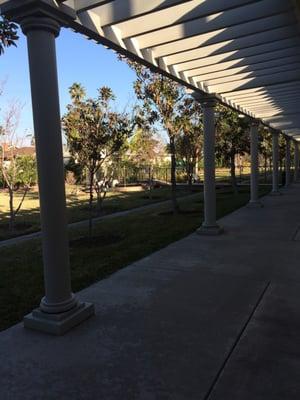 View from outside her room of the garden.