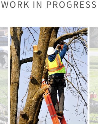 WOODEE'S Tree Service