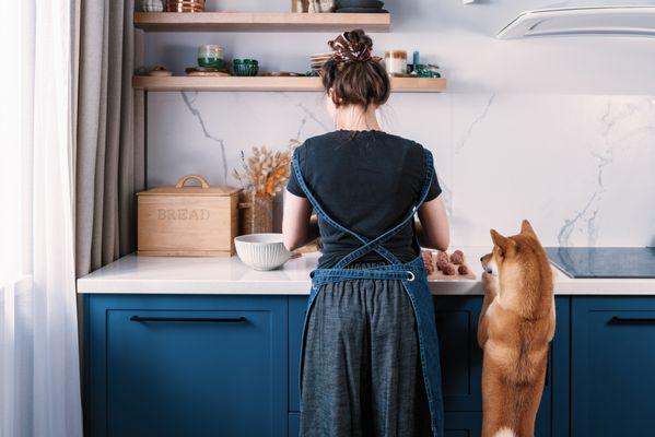 Kitchen Tune-Up Phoenix Central Valley