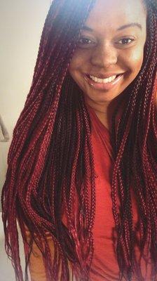 Red and 1b braids