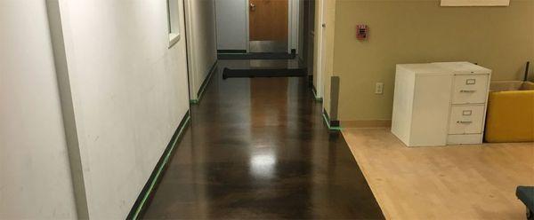 Stained and polished concrete!