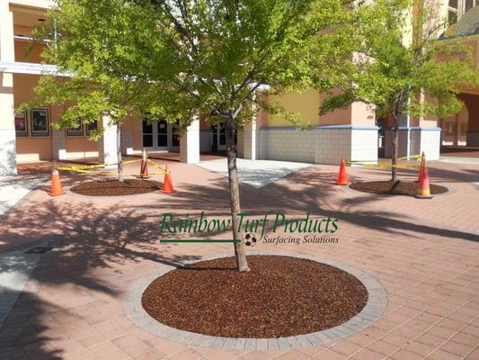 Recycled Rubber Bonded Mulch Tree Ring in front of the IMax Theatres.