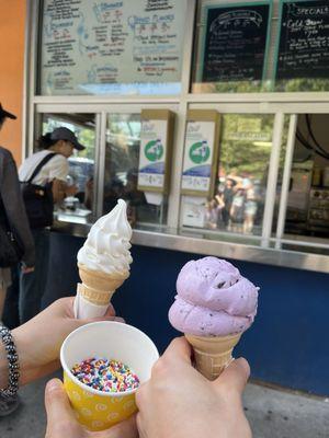 Vanilla soft serve (small cone; sprinkles on the side), blueberry w/ Oreos hard ice cream (one scoop)