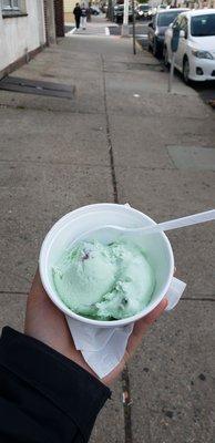 Mint chocolate chip ice cream