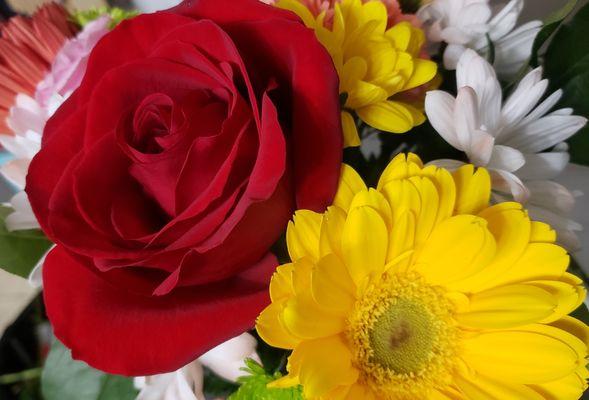 Red roses with yellow gerberas make a show piece