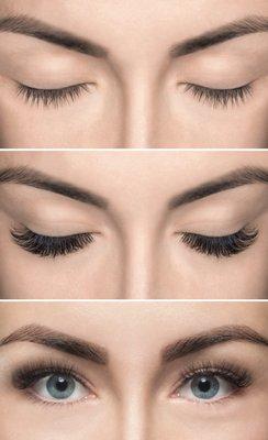 Natural, Classics & Volume Lashes