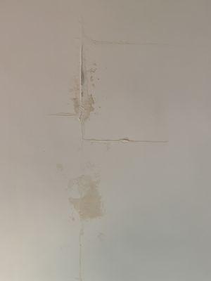 Brand new ceiling ruined by an existing leak that we asked them to fix. If we needed a new roof, say we need a new roof. Don't half-ass it!