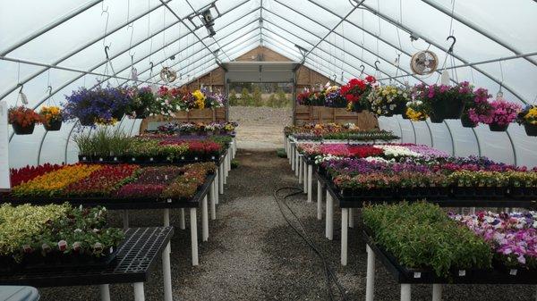 Boulevard Nurseries Garden Center