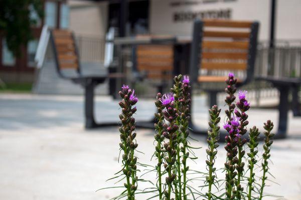 Flowers blooming on the bookstore patio.